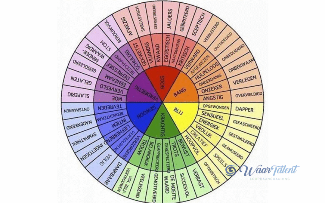 WaarTalent Loopbaancoaching